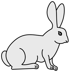 Testing drugs on animals