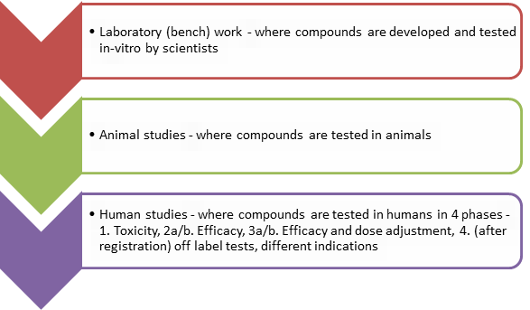 Phases of drug testing 2