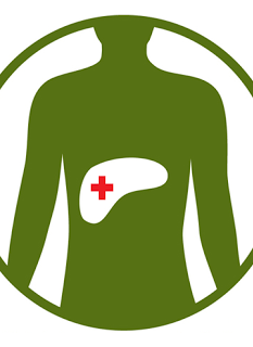 Liver transplant for non-resectable colorectal liver metasteses